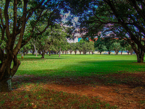pra&ccedil;a p&uacute;blica em Bras&iacute;lia