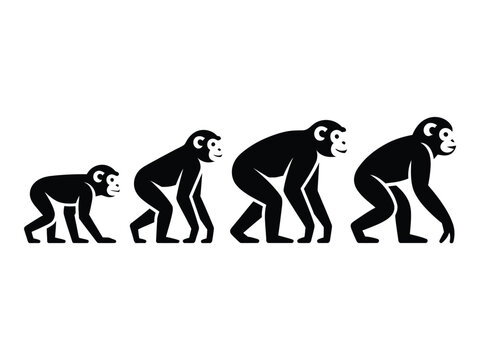 Four black monkey silhouettes in different postures isolated on white background