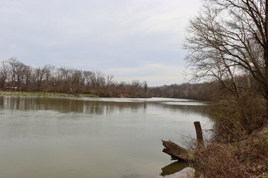 The flowing river in the woods on a cloudy day.