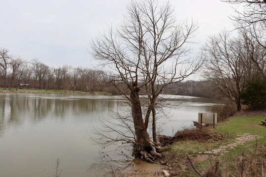 The peaceful river in the woods on a cloudy winter day.