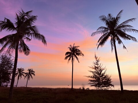 Minimal composition of palm trees against a colorful sunset sky. Clean horizon and soft gradients create a calm tropical mood. Ideal for travel and lifestyle backgrounds.