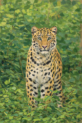 Fototapeta premium Leopard Painting, Jungle Wall Art Print, Wildlife Decor, Jim Corbett Bandipur Kabini Poster