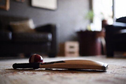 Cricket bat and red ball on patterned carpet in living room. Indoor sports equipment with blurred furniture background.