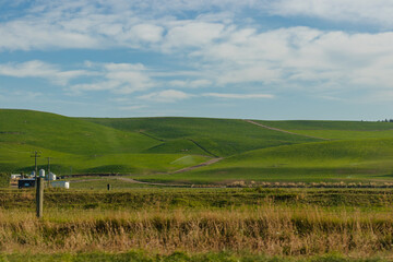 Naklejka premium Rolling Green Fields with Blue Sky and Clouds Over Rural Farm Landscape