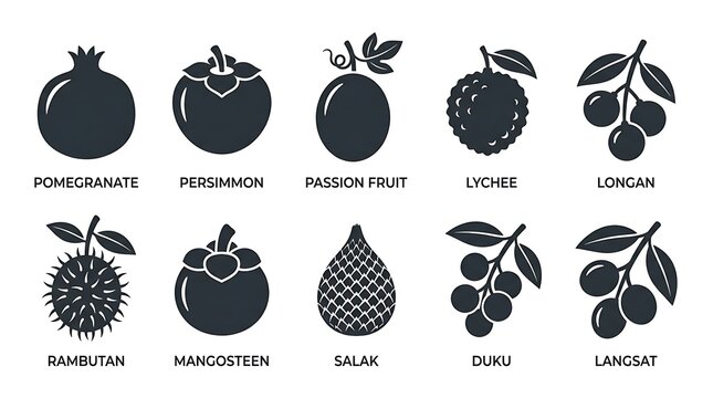 Exotic fruit icons illustration set.