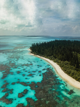 Aerial view of the vibrant turquoise waters meet the pristine white sands, fringed by the lush green forest of Ile des Pins, Pine Island, New Caledonia.