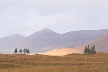 Fototapeta premium Mountains and trees under cloudy sky in the highlands of Scotland