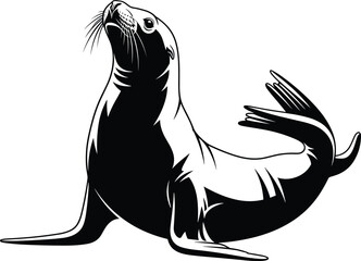 Sea Lion Silhouette Illustration Featuring Marine Mammal Pose with Flippers and Tail for Ocean Wildlife Design and Aquatic Animal Graphics © MeheDi