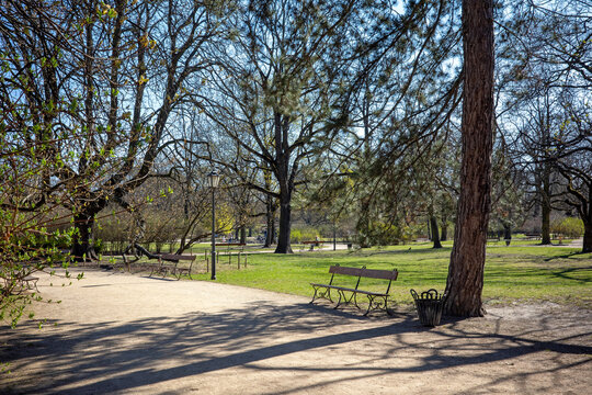A serene public park bathed in bright spring sunlight features empty wooden benches along a winding gravel path, surrounded by budding deciduous trees and tall pines.