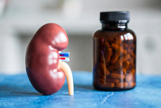 A model kidney and a bottle of pills are on a blue surface.