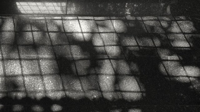 Shadows of a window grill cast on a floor in natural light, forming geometric patterns that highlight contrast, structure, and minimalist architectural aesthetics