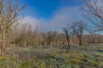 Fototapeta premium A cold morning in Galicia