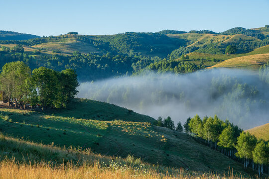Misty morning landscape of green hills and forest valley in Romania with soft sunlight and blue sky