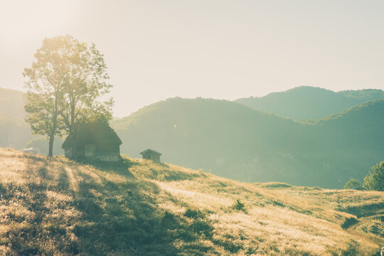 Peaceful rural landscape with wooden cabin and lone tree on sunlit meadow in the Romanian countryside, with misty mountains in the background
