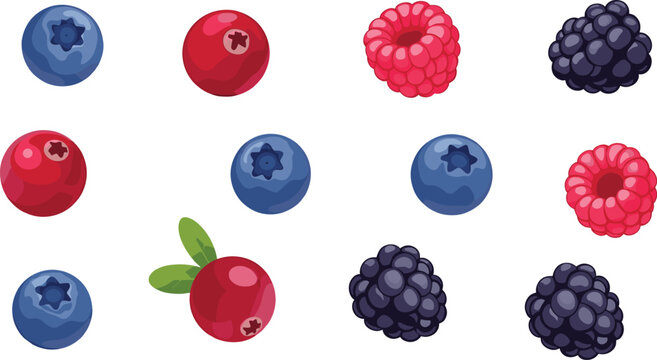 Mixed Berry Vector Collection Featuring Blueberries, Cranberries, Raspberries, and Blackberries, Colorful