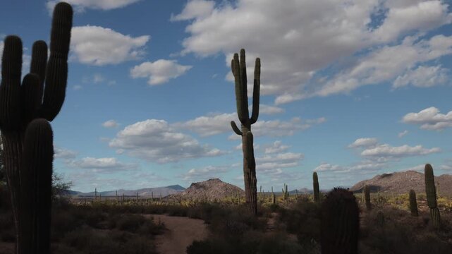 Time-lapse Footage Of Arizona Sonoran Desert Landscape Near Hiking Trail In Desert Preserve In Scottsdale 