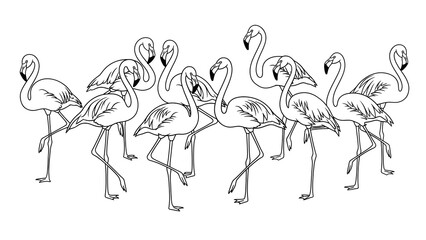 Black silhouette of a hoopoe bird with its distinctive crest and striped wings, depicted in a minimalist graphic style on a white background. © omar bonyan