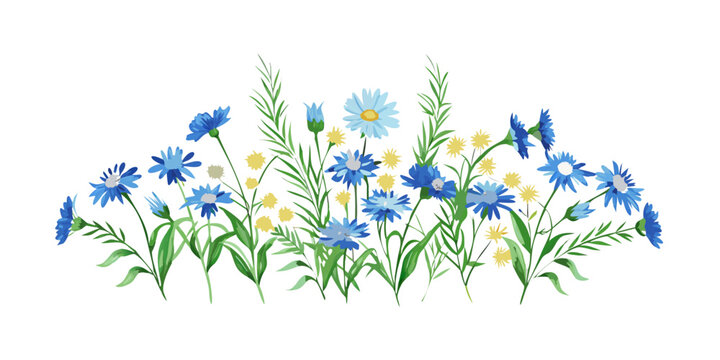 Wildflower border with blue cornflowers and green leaves, vector