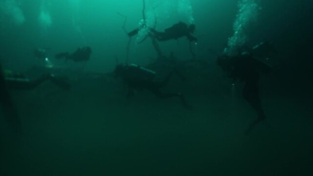 Group of divers with flashlights swimming in murky green water through an eerie underwater forest