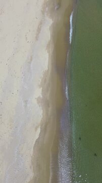 people walking on the beach slow motion shot at 240fps