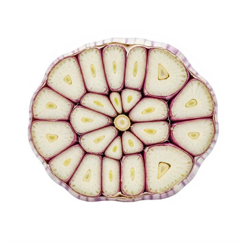Intricate geometric pattern resembling a cross-section of a lotus seed head