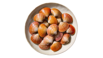 Obraz premium Orange pink seashells piled high, arranged on a rustic ceramic plate