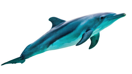 Fototapeta premium Graceful blue dolphin swimming, displaying sleek skin and a playful demeanor