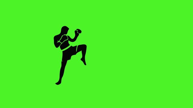 Martial arts kickboxing silhouette green screen.