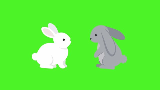 Two cartoon rabbits on green screen.