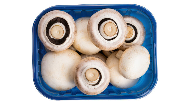 Fresh brown and cream portobello mushrooms neatly arranged in a blue plastic clamshell container