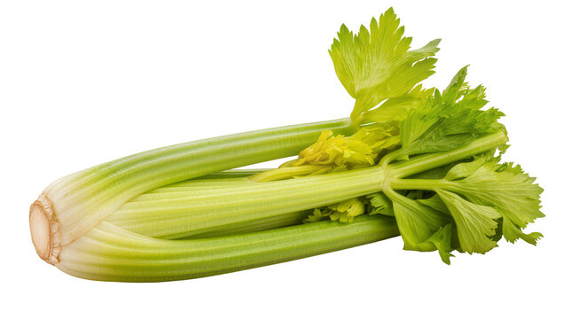 Fresh green celery stalk, displaying crisp texture and vibrant leaves