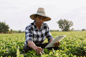 Asian farmer wearing a straw hat crouching in a green field, inspecting young crops while holding a clipboard and pen