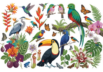 Naklejka premium Vector collection of tropical birds including toucan, macaw, quetzal, and heron with exotic flowers, palm leaves, and butterflies isolated on white background.