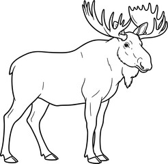 Obraz premium Standing Moose with Antlers, Outline Drawing, Vector Art