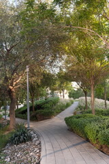 Fototapeta premium Wide angle view of curved footpath under dense tree canopy in landscaped urban park, green tunnel effect, city nature trail for tourism, wellness and environment editorial