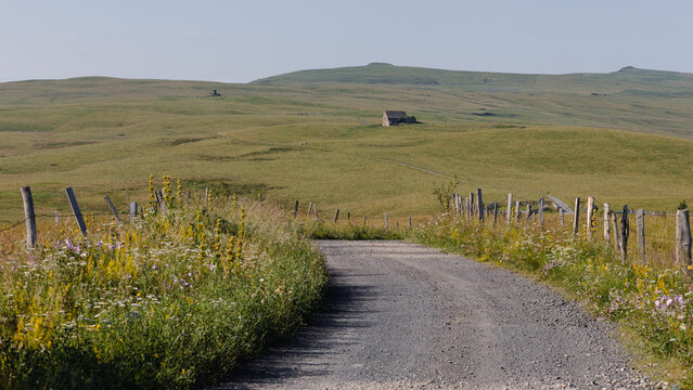 buron au milieu des prairies, ferme d'&eacute;t&eacute; sur le plateau du Limon dans le Cantal en france en Auvergne