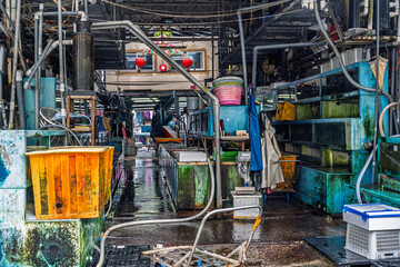 Interior of the Aberdeen fish market in Hong Kong showing seafood handling facilities. Industrial corridor with water tanks and equipment at the Aberdeen wholesale fish market.