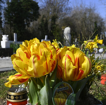friedhof, grabdekoration