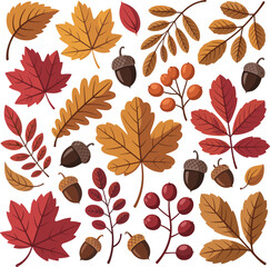 Fall maple oak chestnut leaves berries acorn landscape vector on white background. © TahrinAkther