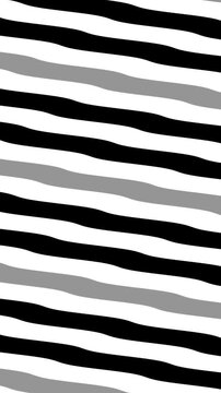 zebra skin texture motion background 