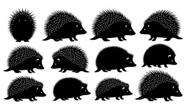 Porcupine and Hedgehog Silhouette Vector Set for Educational Infographic Wildlife Comparison Design