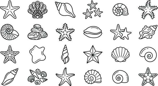 Hand-drawn collection of marine life icons: shells and starfish with illustrations have a simple, sketched aesthetic suitable