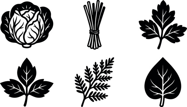Black and white silhouette vegetable and herb icon set with cabbage and parsley leaf