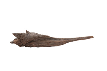 Fototapeta premium Driftwood aged wood isolated on white background. Piece of driftwood driftwood close up for aquarium.