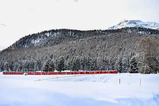 Pontresina, Berninapass, Val Bernina, Zugfahrt, Zugreise, Winter, Wintersport, Wanderweg, Langlauf, Langlaufloipe, Oberengadin, Graub&uuml;nden, Schneedecke, Winterlandschaft, Alpen, Schweiz