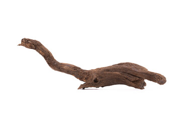 Fototapeta premium Driftwood aged wood isolated on white background. Piece of driftwood driftwood close up for aquarium.