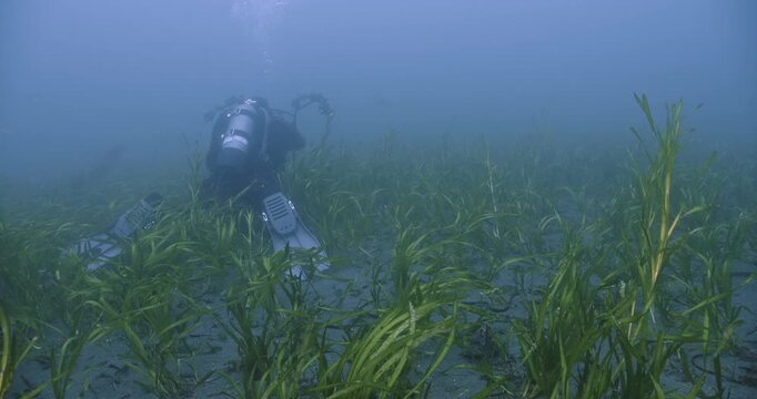 Underwater photographer sets up in turtle grass.