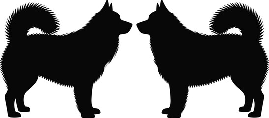 Symmetrical black silhouette of two fluffy husky dogs facing each other, isolated vector illustration for pet care, sled dog, and animal lover design, © MstMajeda