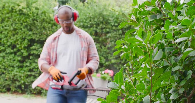 Man in orange gloves, red earmuffs walking to hedge, trimming with red trimmer, shaping foliage