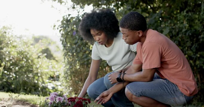 Couple kneeling on lawn placing pink-red blooms in soil, arranging, pouring with black watering can